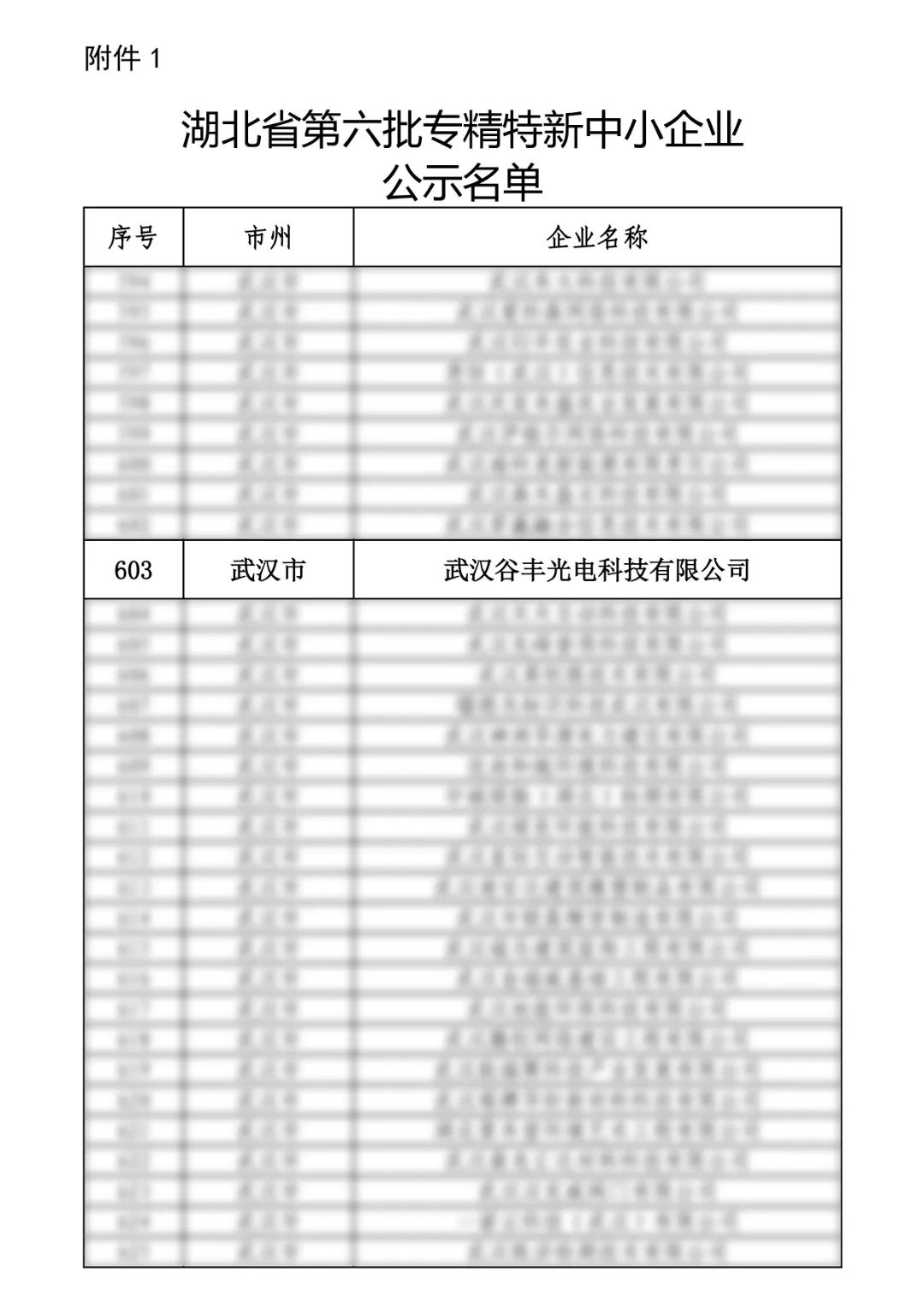 谷豐光電榮獲湖北省第六批專精特新中小企業(yè)認(rèn)定！